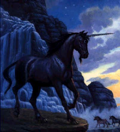 Black Unicorn